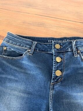 Articles of society, Jean size 29